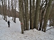 Sulle nevi del RESEGONE ad anello da Fuipiano (27febb21)- FOTOGALLERY